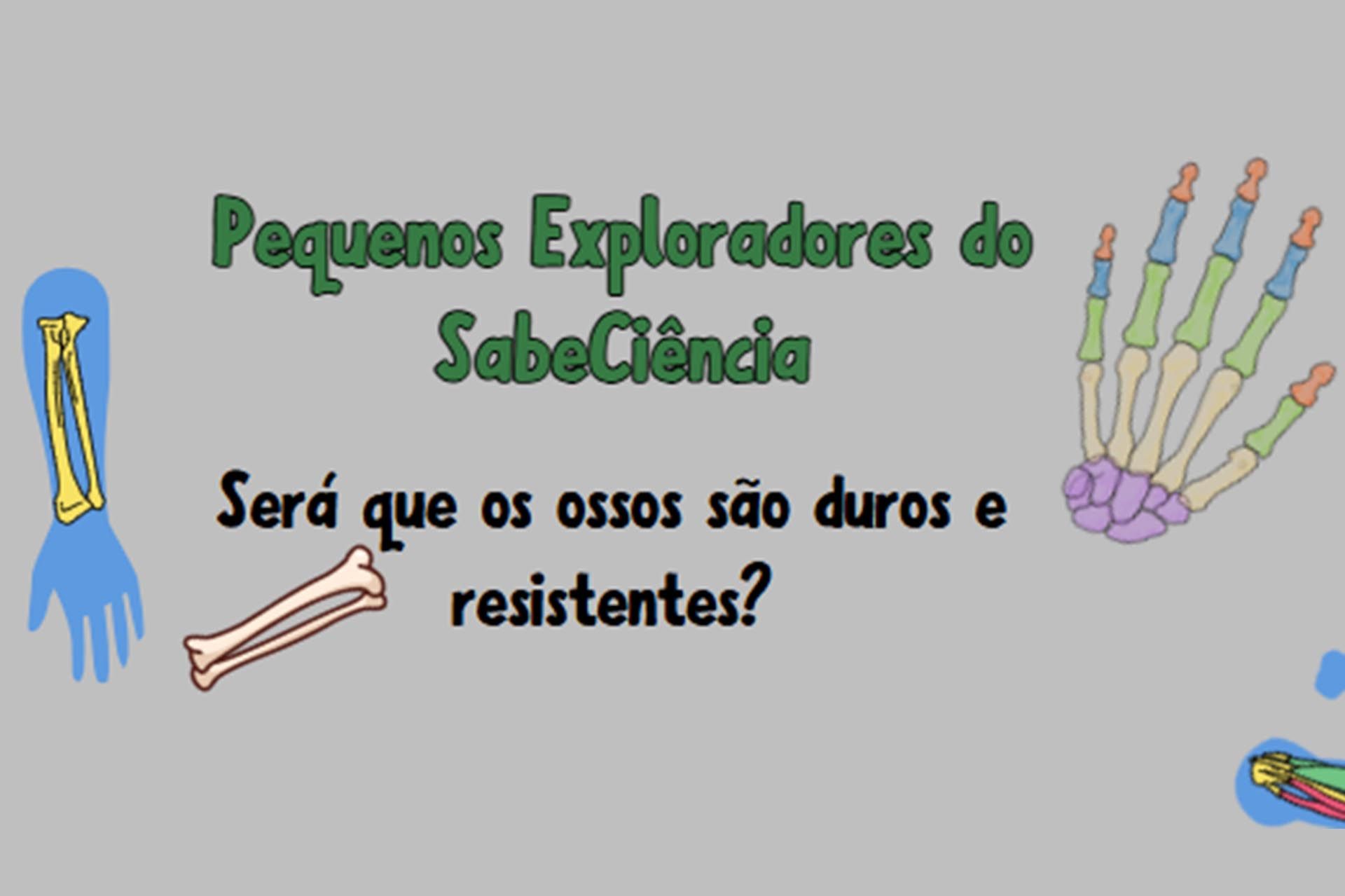 Pequenos Exploradores do SabeCiência