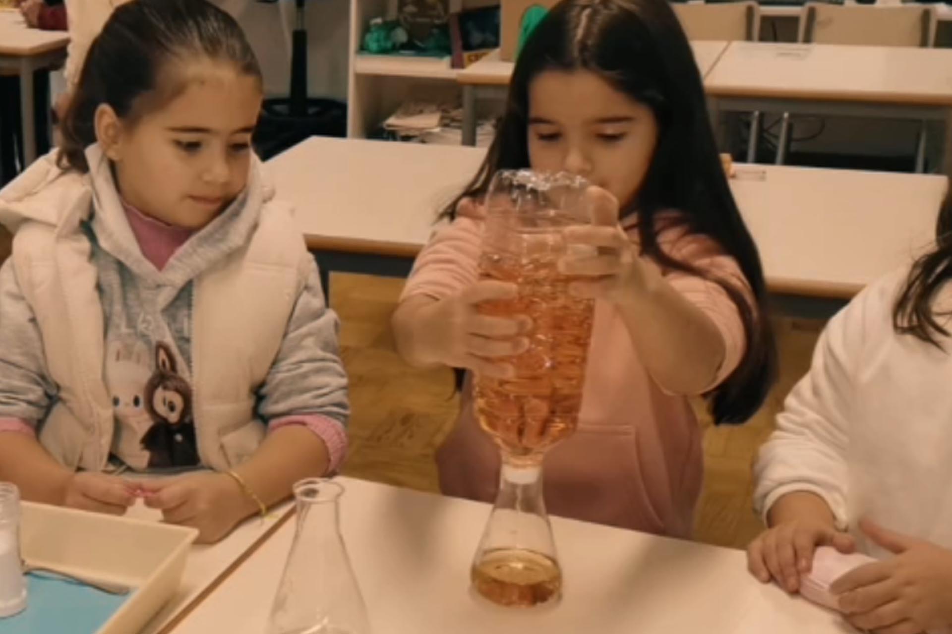 Realização de atividades experimentais pelos alunos do 1.º Ciclo do Ensino Básico